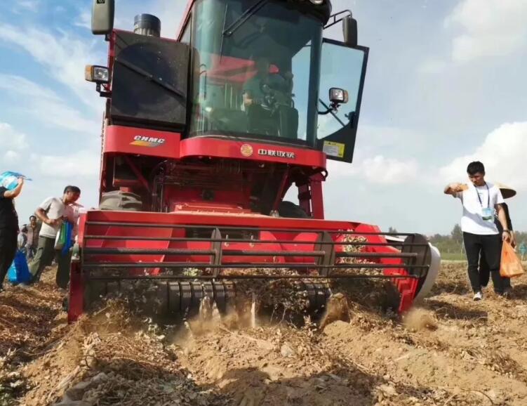 1583477333750250.jpg 12.jpg