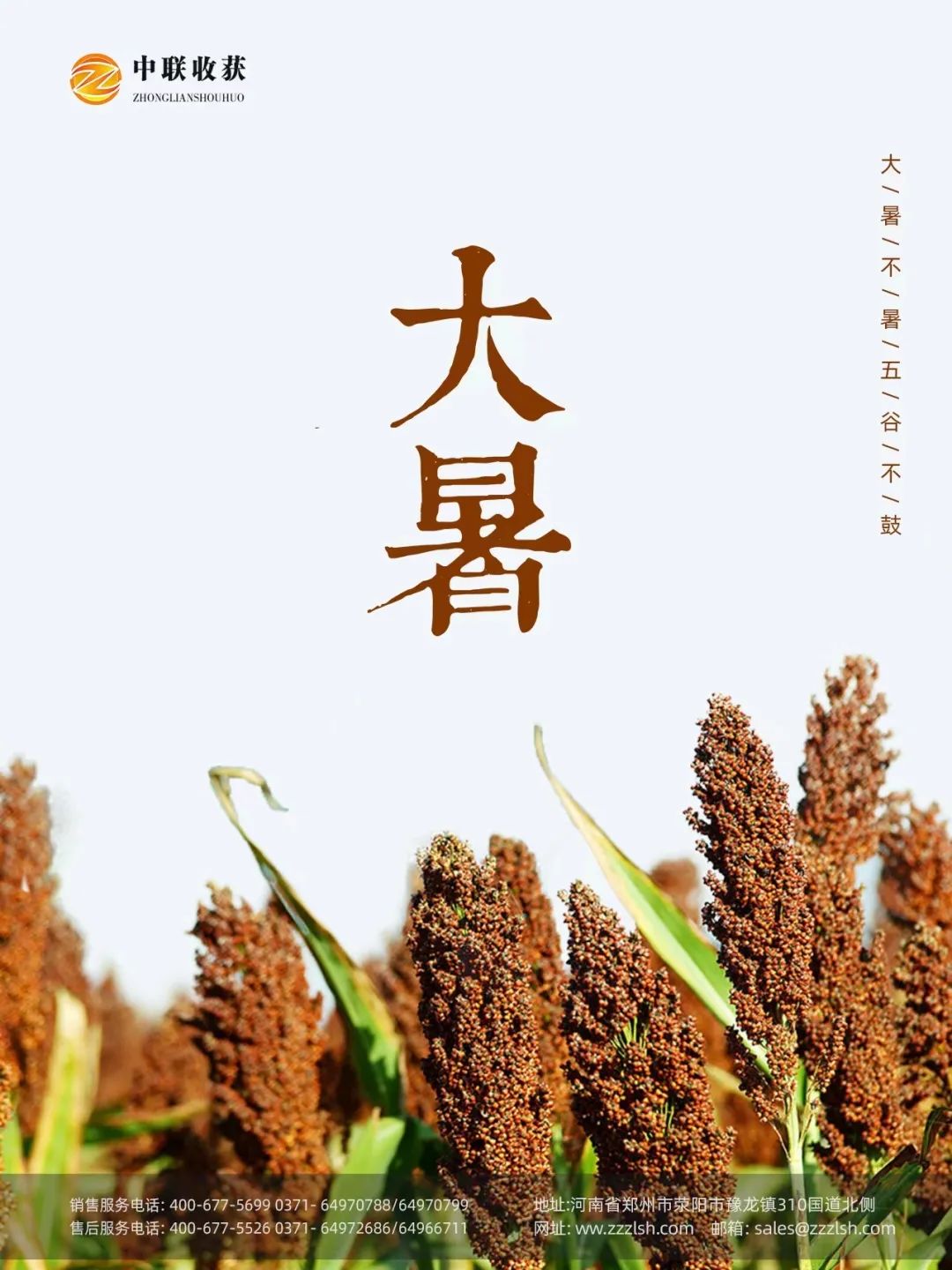 大暑|草木茂盛夏正浓