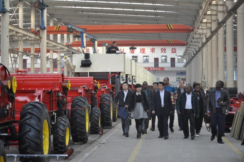 1606203361674271.jpg 3.jpg