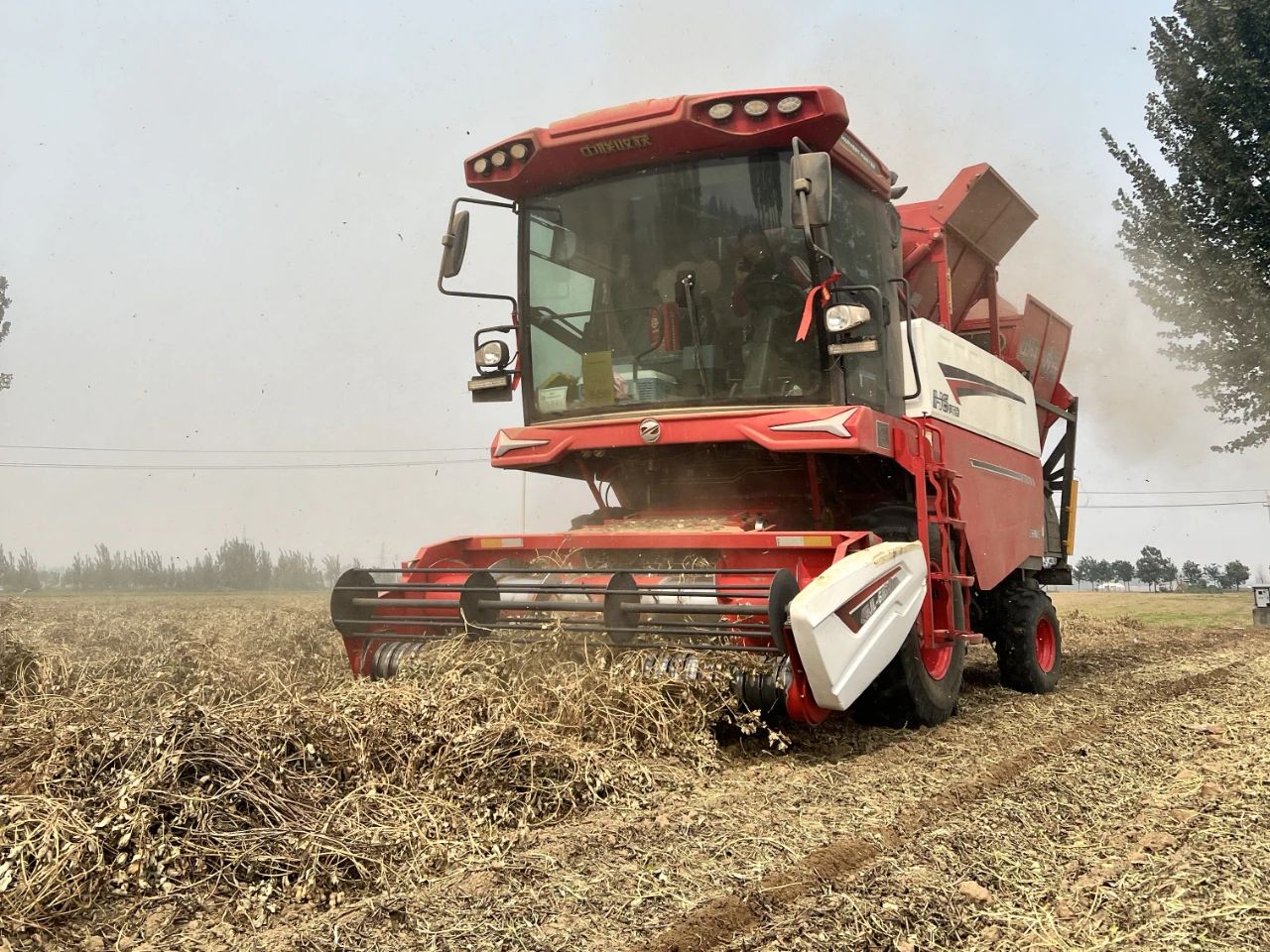 1751594030180076.jpg 1751594030180076.jpg